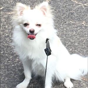 Meet your Posher, Lisa